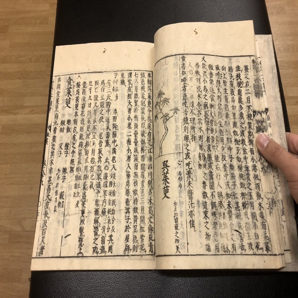 江戸とスパイス 其ノ壱「蕃椒」｜柳に風