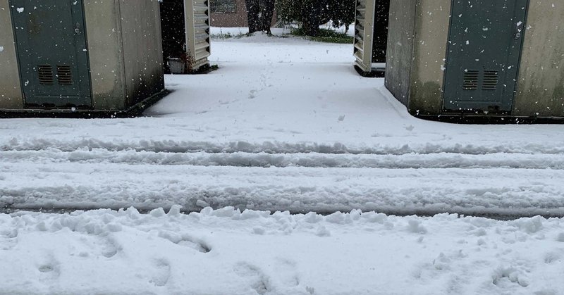 敦賀便り6 雪がやってきた ぢーこ note