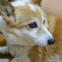 オフショット は和製英語 Hiroki Kato Note