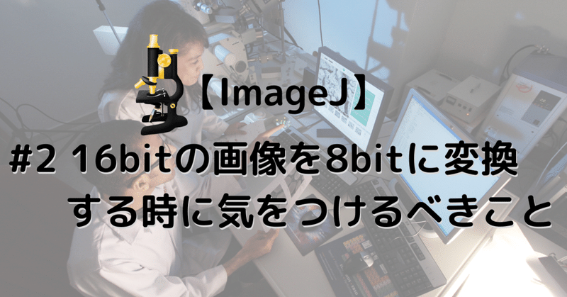 【ImageJ】16bitの画像を8bitに変換する時に気をつけるべきこと