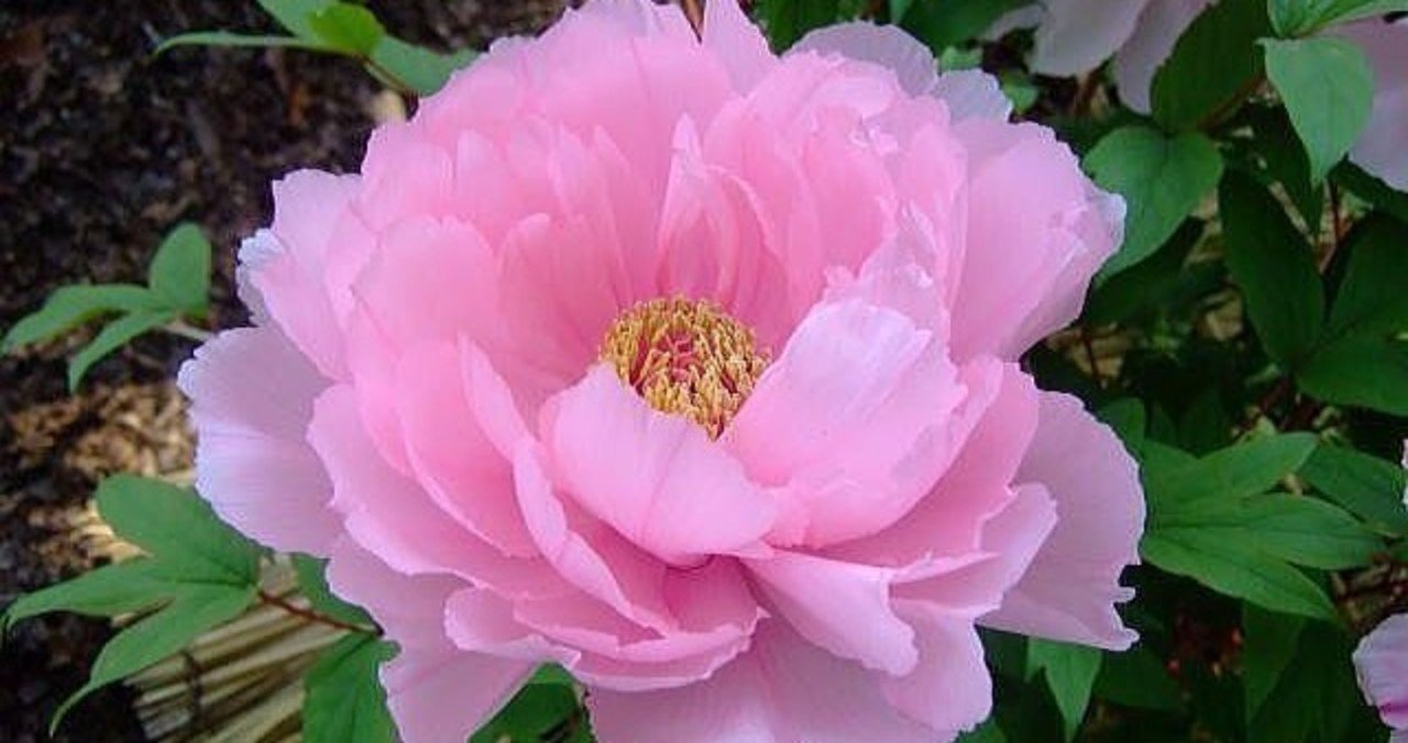 R9qb7spmzcfi1m R9qb7spmzcfi1m