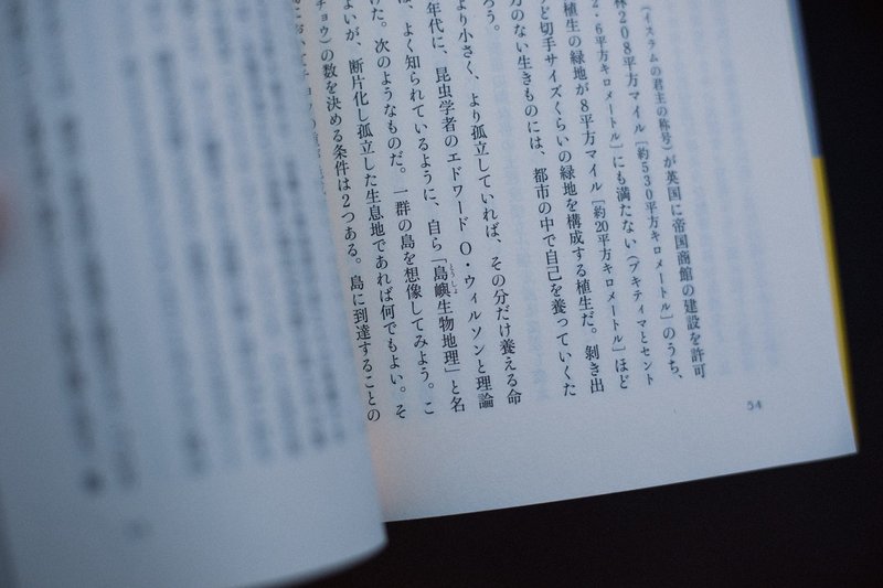 初めてのひとりディズニー体験記 Ami Hijikata Note