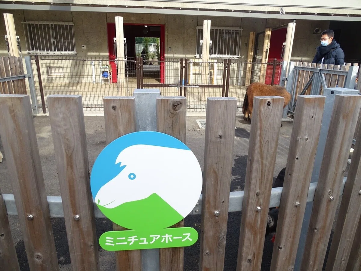 画像11