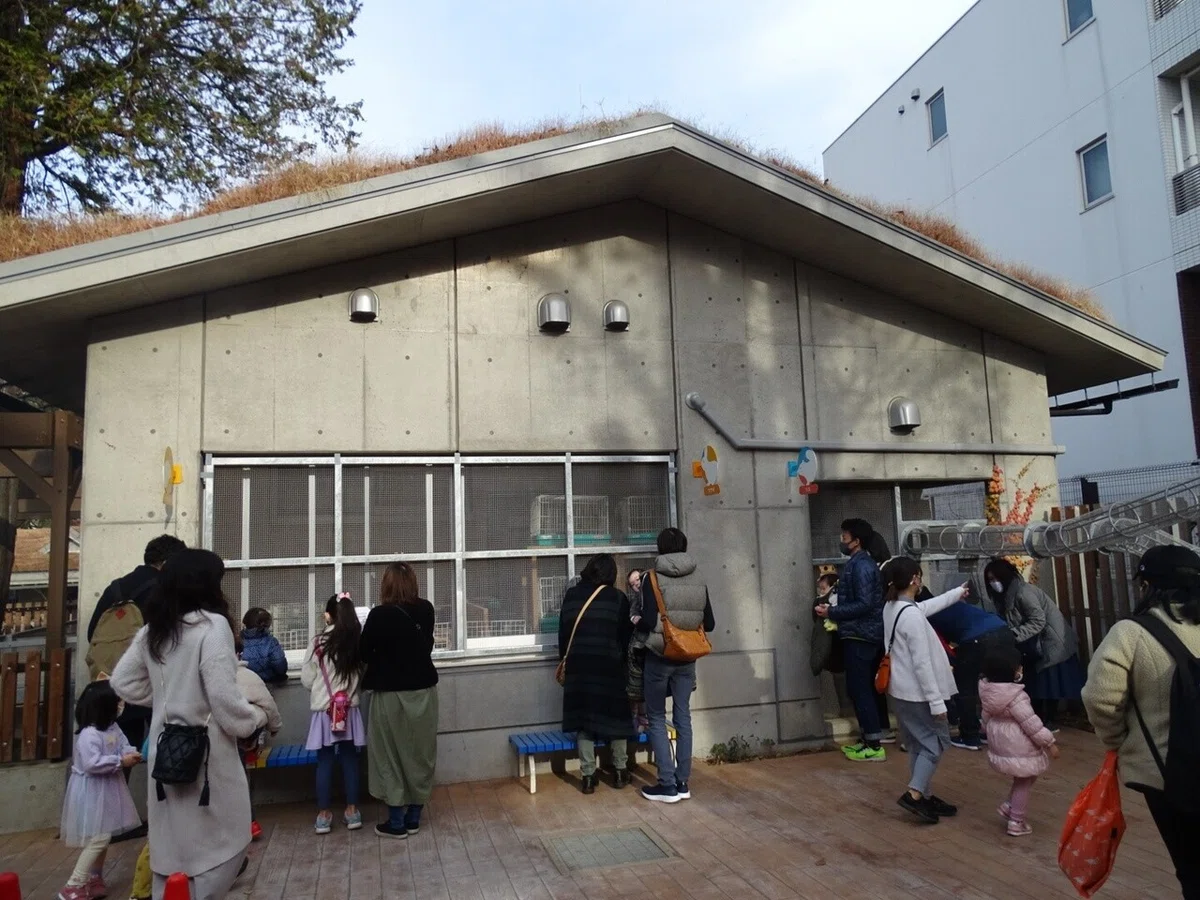 画像15