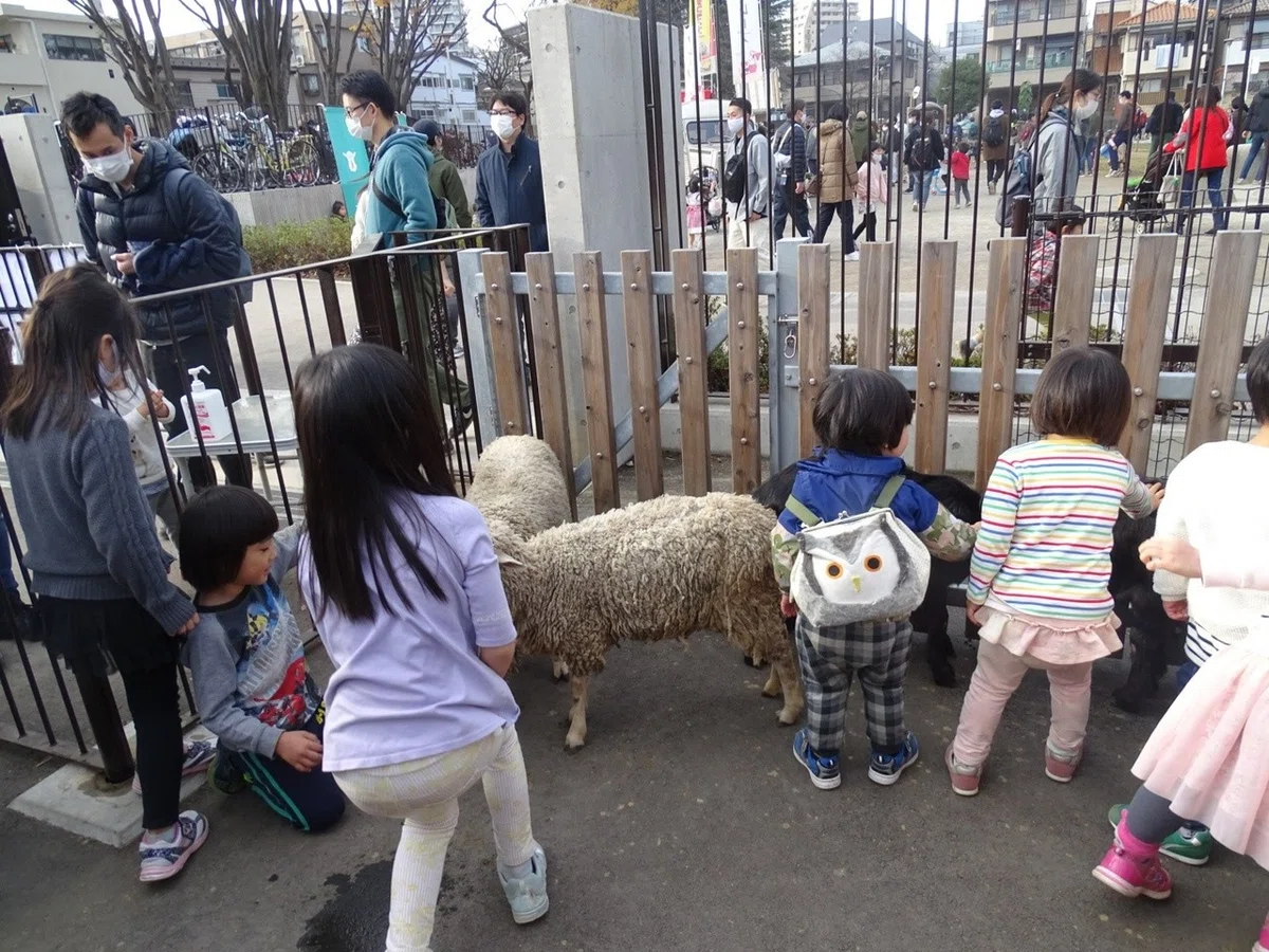 画像17