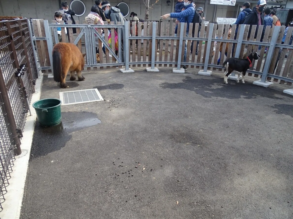 画像19