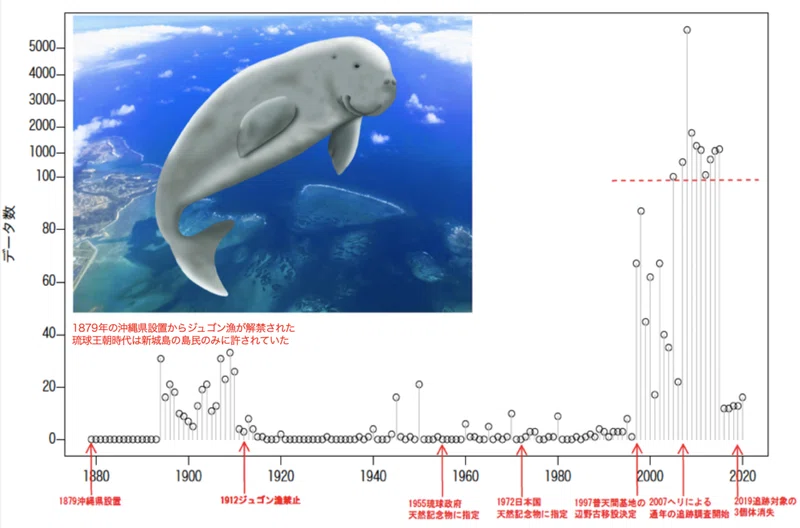 ジュゴン 海の生物多様性保全のシンボル 久保田康裕 琉球大学理学部 久保田研究室 シンクネイチャー Note