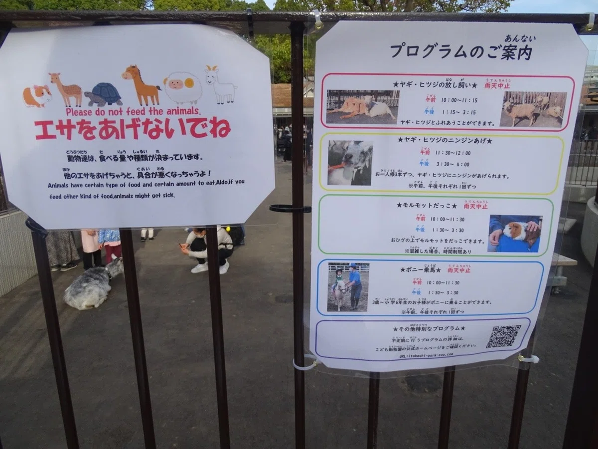 画像27