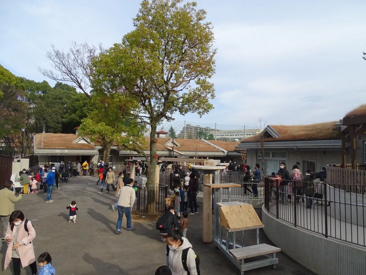 画像28