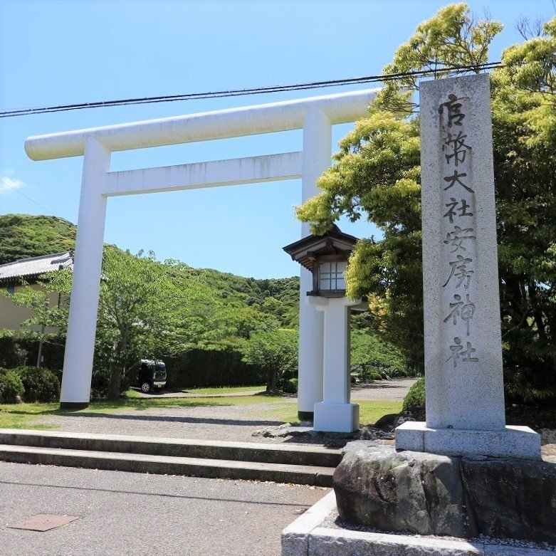 画像8