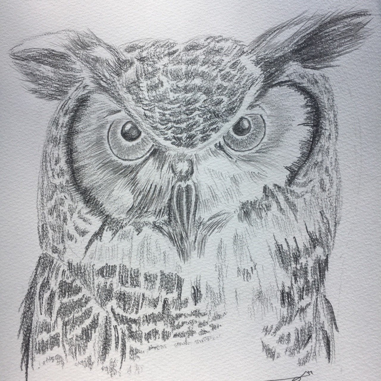 軽い気持ちで描いて見たミミズクさん マンボウ Note 軽い気持ちで描いて見たミミズクさん マンボウ Note