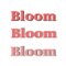 Bloom