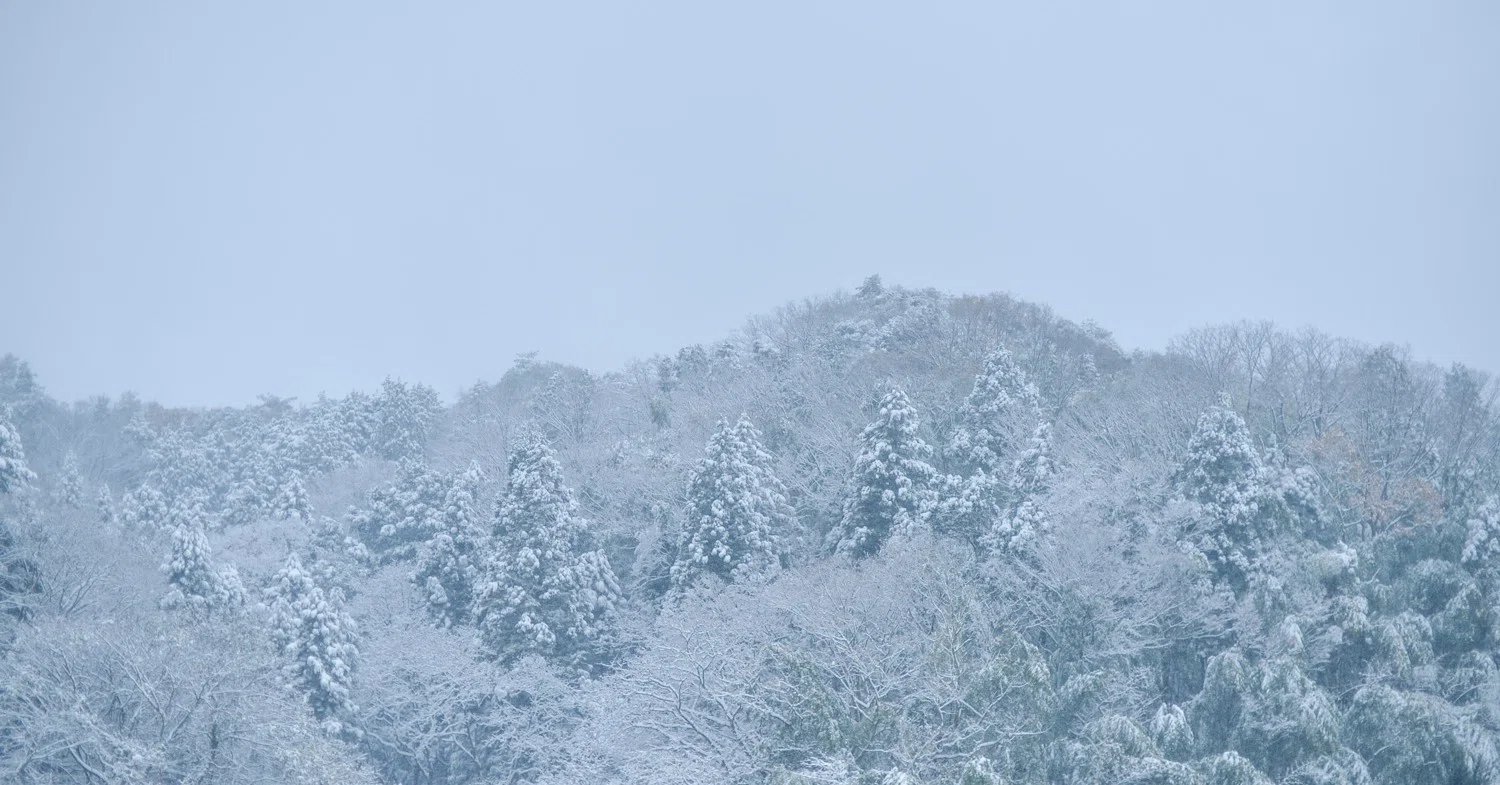 雪は嫌いだけど、雪景色は最高に美しい。｜くらしアトリエ(地域と