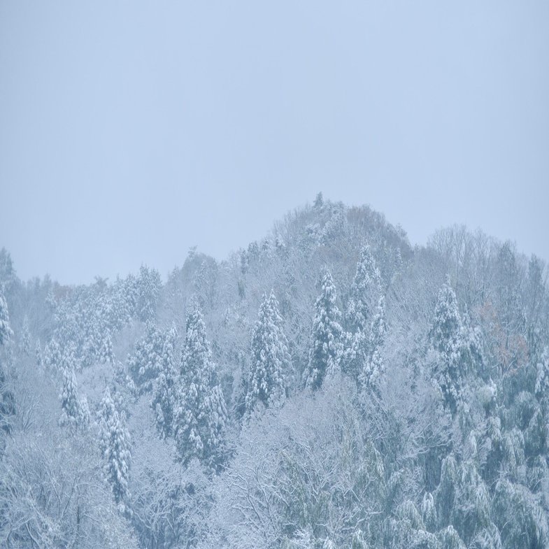 美しい雪景色