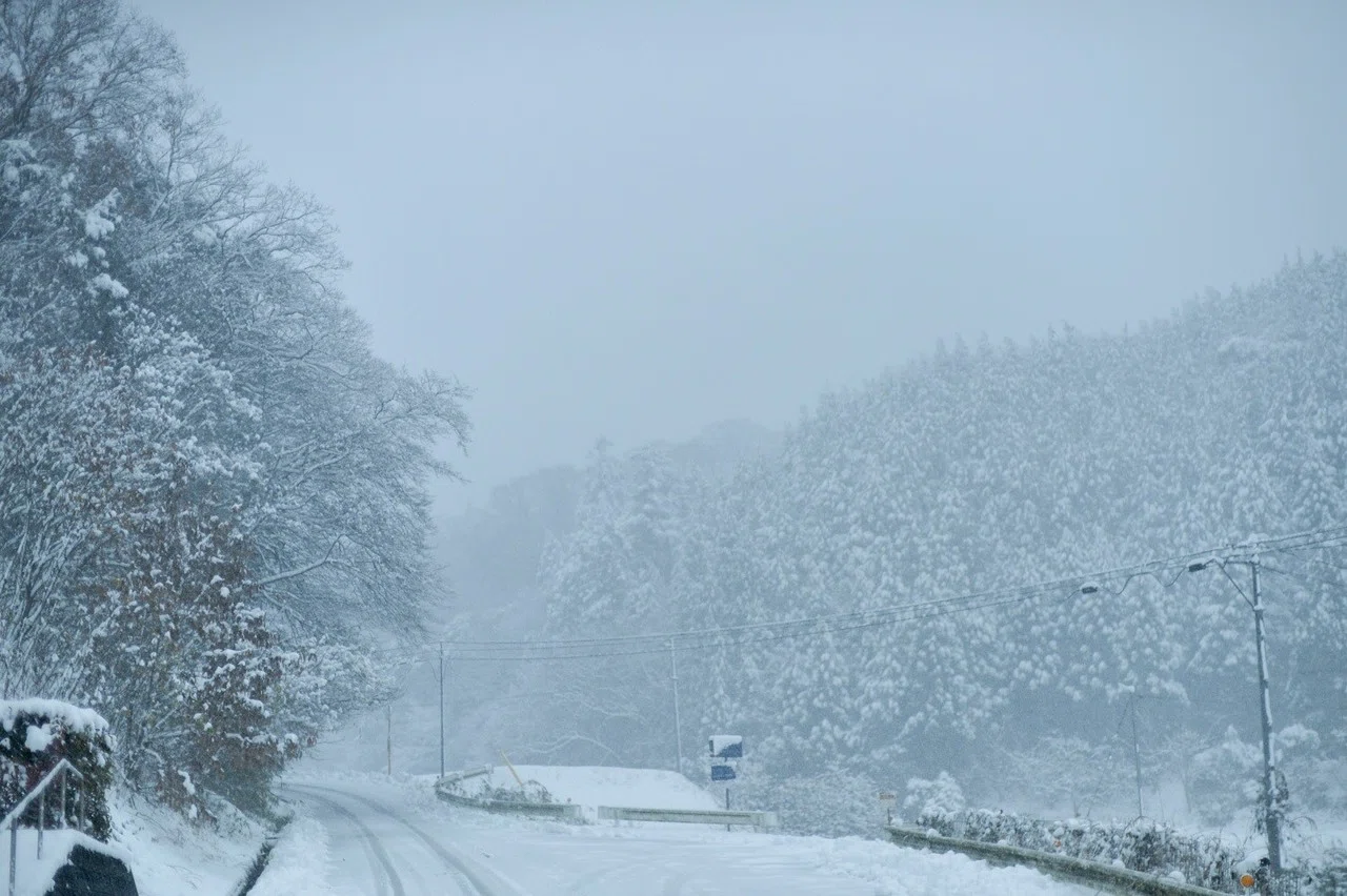 雪は嫌いだけど、雪景色は最高に美しい。｜くらしアトリエ(地域と 