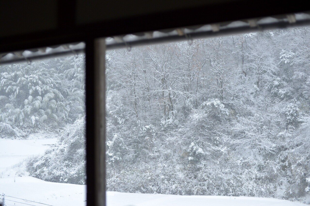 雪は嫌いだけど、雪景色は最高に美しい。｜くらしアトリエ(地域と