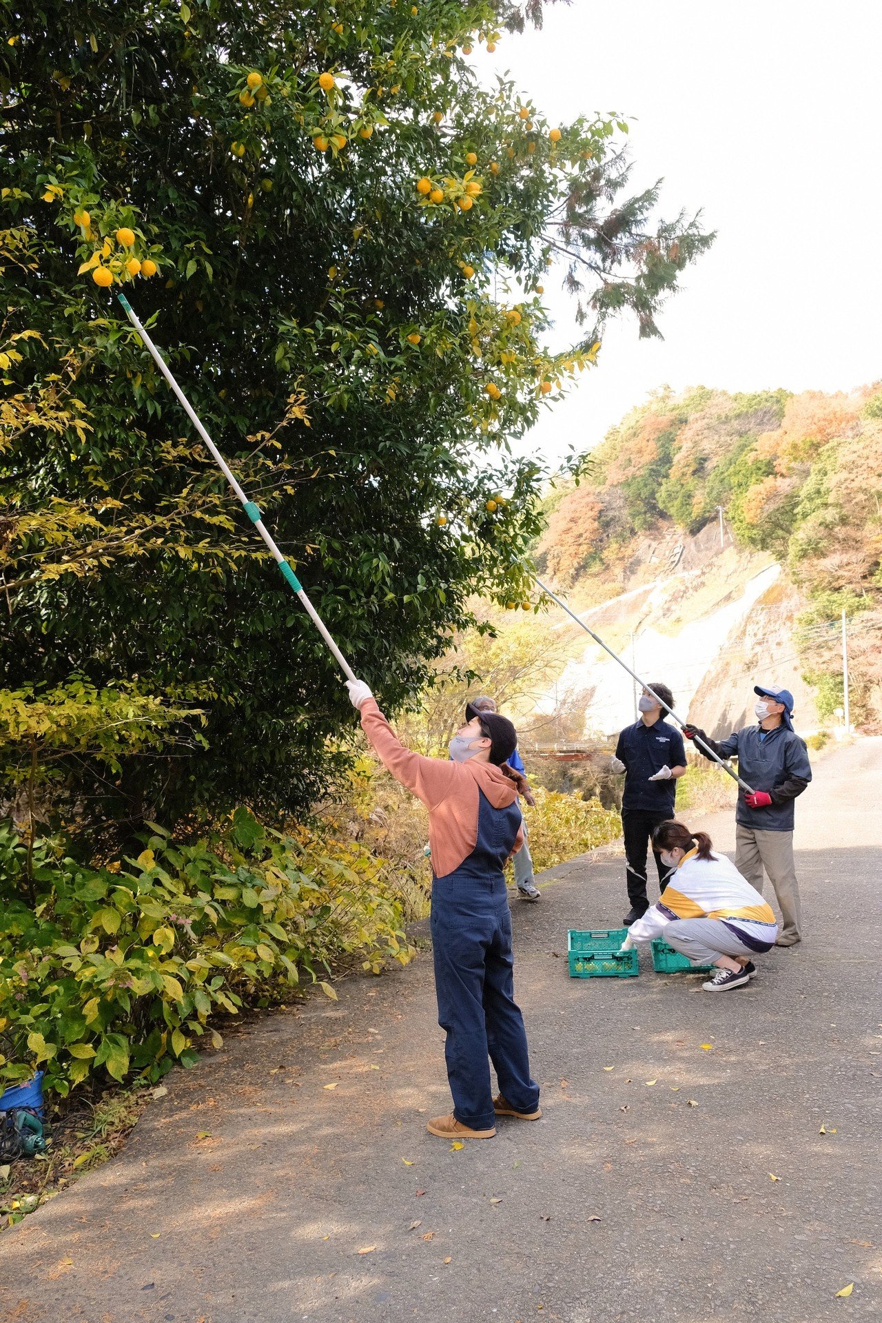 ヨコビ の“かお”」第八回 山梨県南都留郡 道志村「ひゃくしょう会