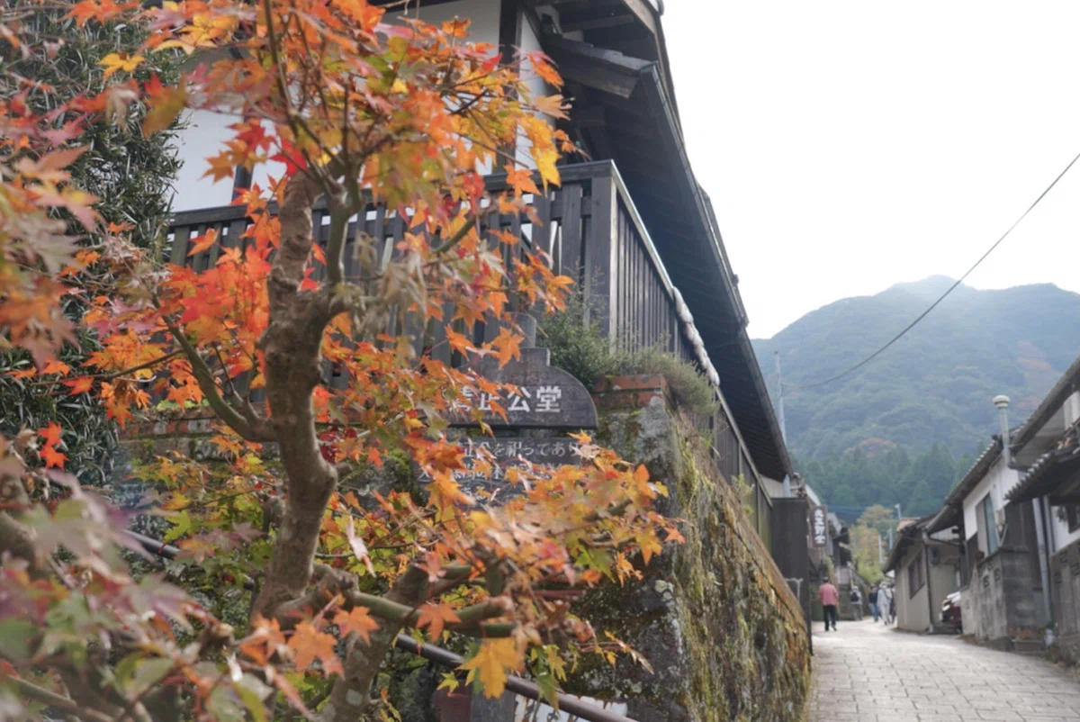 画像12