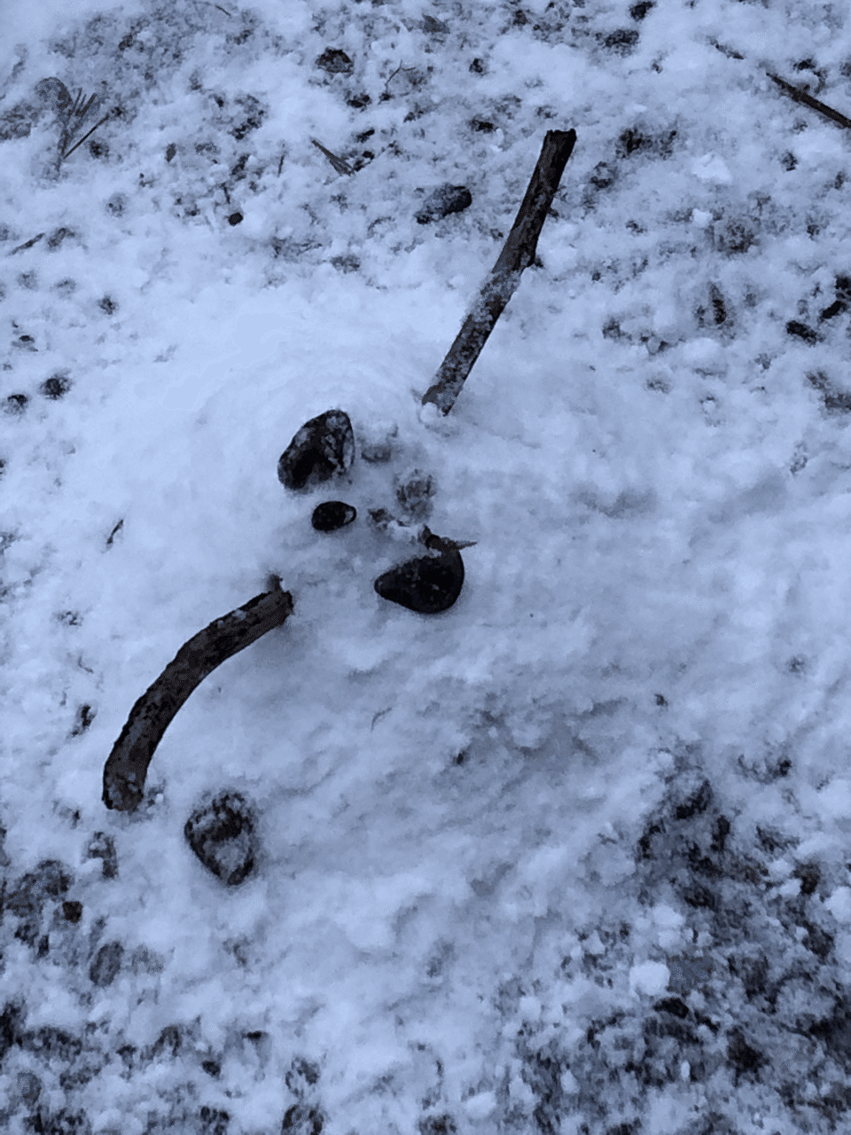 独り言 先日 我が家の長男が サンタさんにプレゼントに雪だるま作ってあげる と作ってた雪だるまです 名前 は ウルトラマンゼッド だそうです ウルトラマン全然見たことないじゃん 何故 でも可愛いから チェルシム Note 独り言 先日 我が家の長男が サンタさんにプレゼントに雪だるま作ってあげる と作ってた雪だるまです 名前 は ウルトラマンゼッド だそうです ウルトラマン全然見たことないじゃん 何故 でも可愛いから チェルシム Note