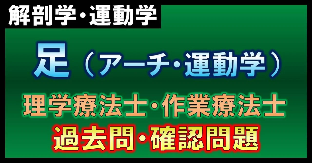 解剖生理学 足部 アーチ 確認問題 理学療法士 作業療法士