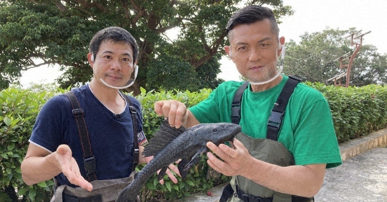 12 日 18 30 地球上最悪の恐怖生物が登場 緊急ｓｏｓ 池の水ぜんぶ抜く大作戦スペシャル テレ東電鉄 テレビ東京公式 Note