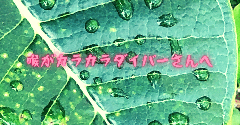 なぜワタシはダイビングしても喉が渇かないのかということを考えたはなし Sakura Marine の Akari Note なぜワタシはダイビングしても喉が渇かないのかということを考えたはなし Sakura Marine の Akari Note