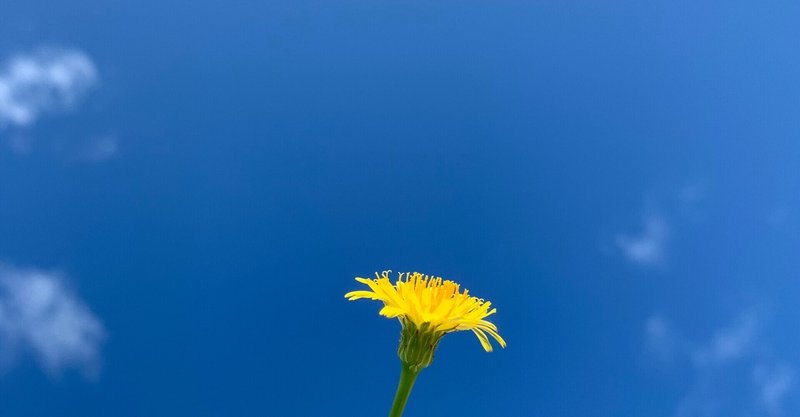 だいたひかる の新着タグ記事一覧 Note つくる つながる とどける だいたひかる の新着タグ記事一覧 Note つくる つながる とどける
