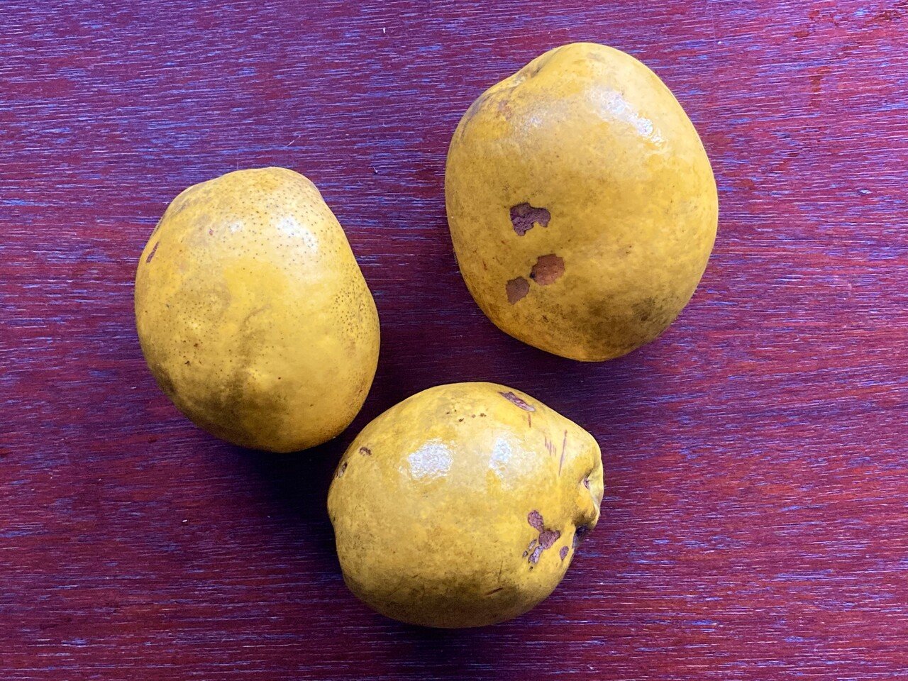 Study62 かりんの美味しい食べ方を探る 部位ごとの個性 野菜labo 田野実 温代 Note Study62 かりんの美味しい食べ方を探る 部位ごとの個性 野菜labo 田野実 温代 Note