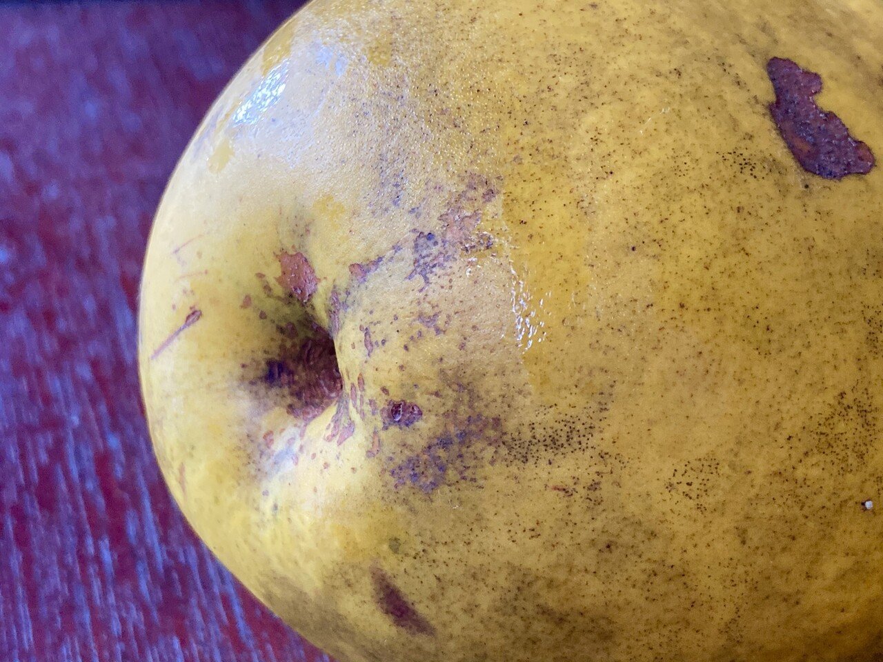 Study62 かりんの美味しい食べ方を探る 部位ごとの個性 野菜labo 田野実 温代 Note Study62 かりんの美味しい食べ方を探る 部位ごとの個性 野菜labo 田野実 温代 Note