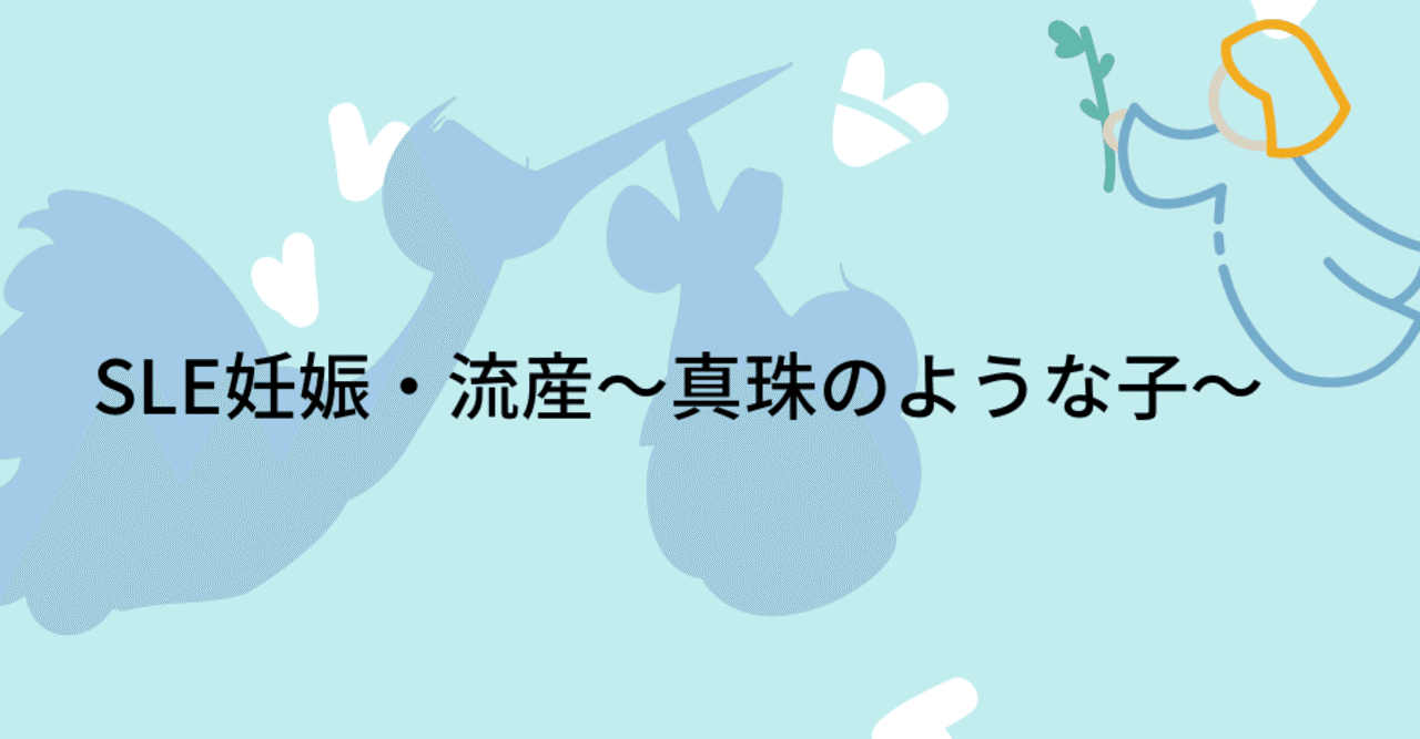 Sle 妊娠と流産 2人目の出会いと別れ Hibiki Note
