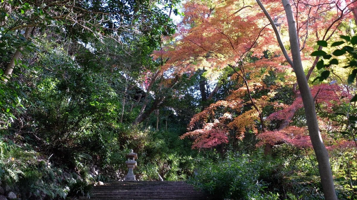 画像3