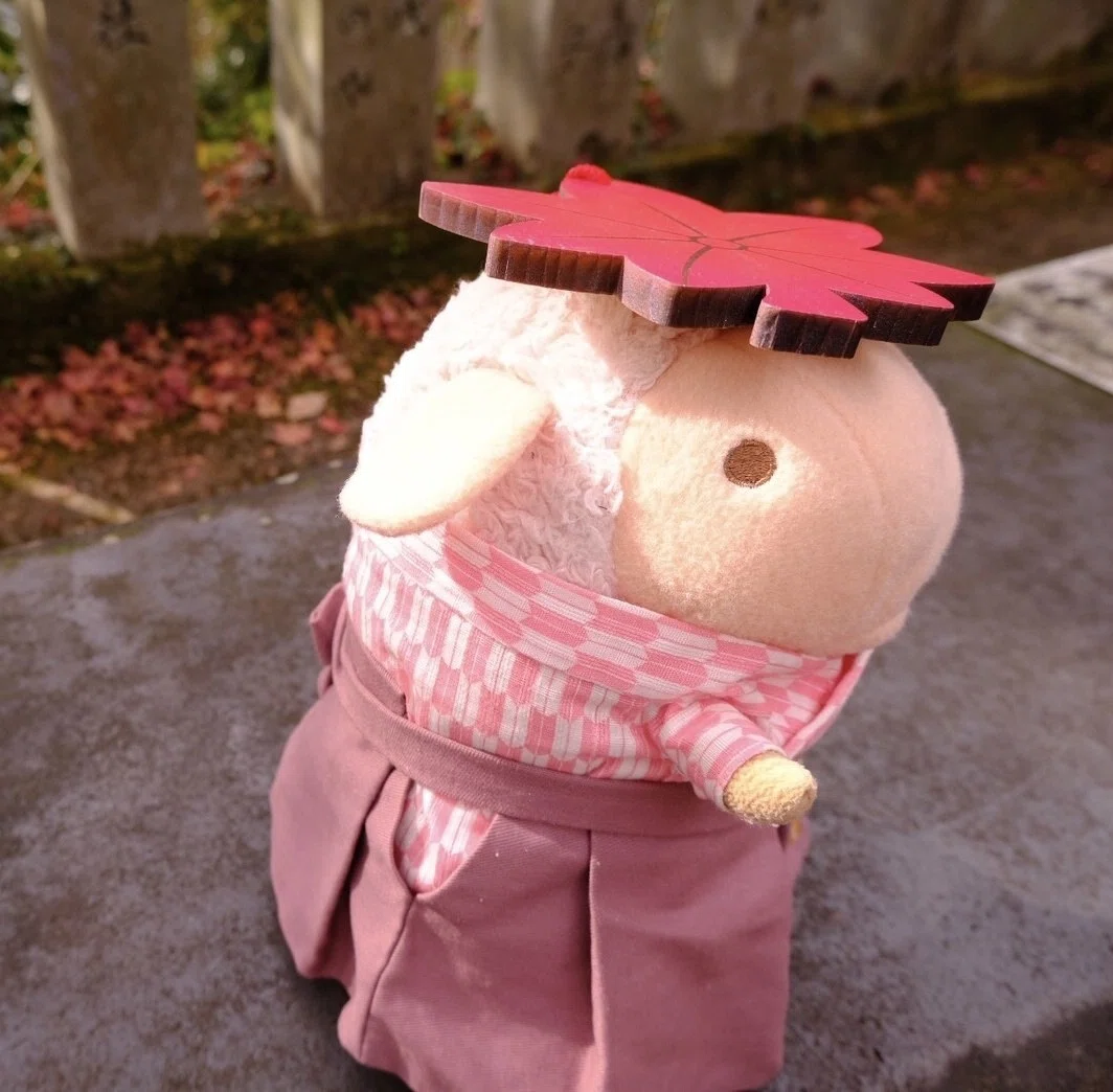 画像8