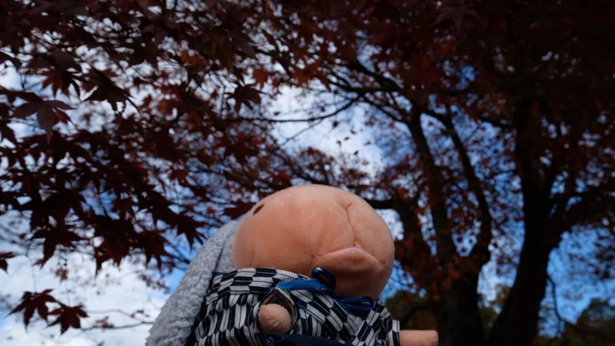 画像10