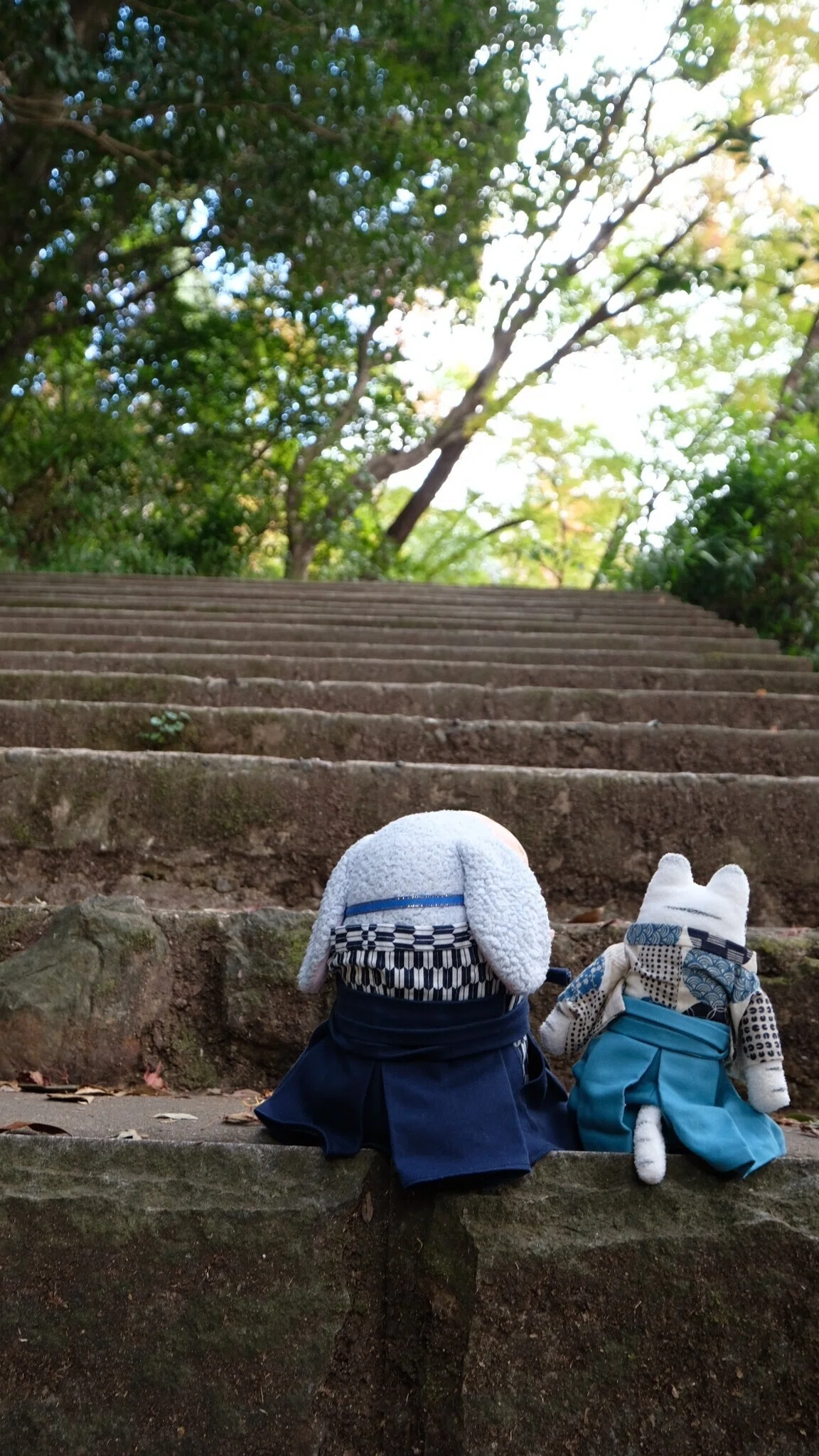 画像12
