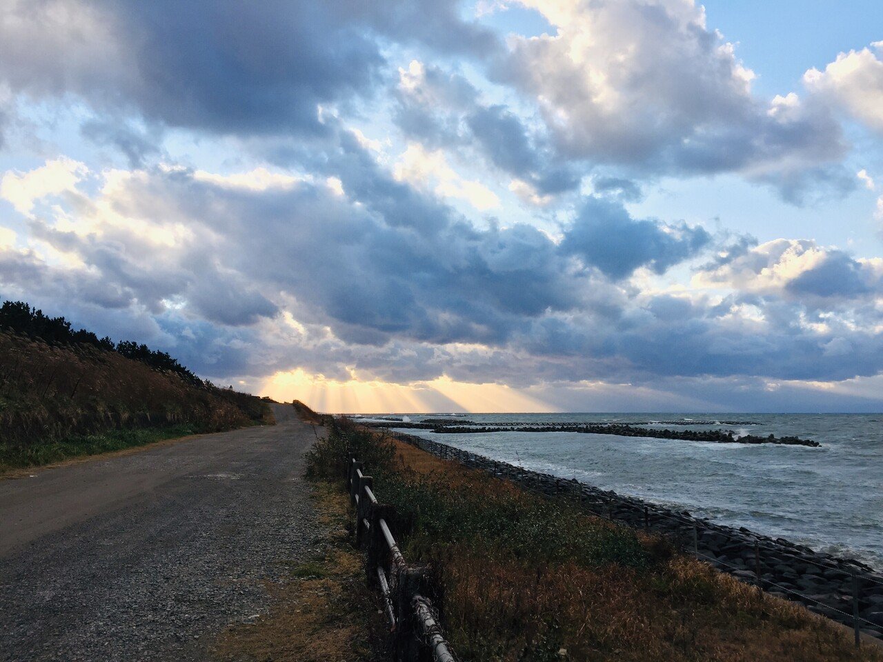 画像1