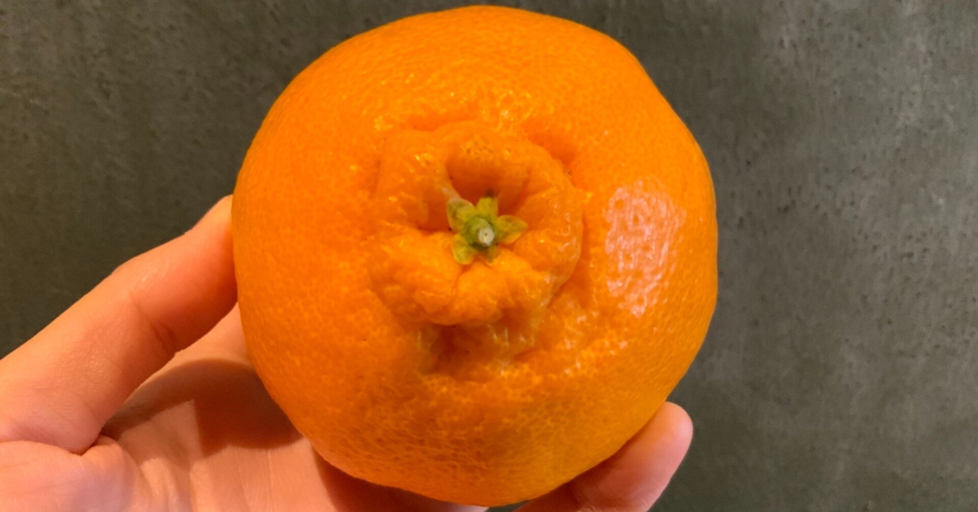 まさき 柑橘 は
