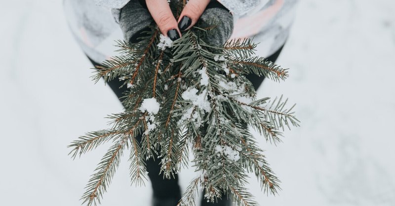 知らない人にもキスしちゃう？英米では誰でも知っている「Mistletoe(ミッスルトー）」の風習とは？