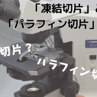 リメンバー ミー の ウン ポコ ロコ って本当はどう言う意味なの Eiko Programming Note リメンバー ミー の ウン ポコ ロコ って本当はどう言う意味なの Eiko Programming Note