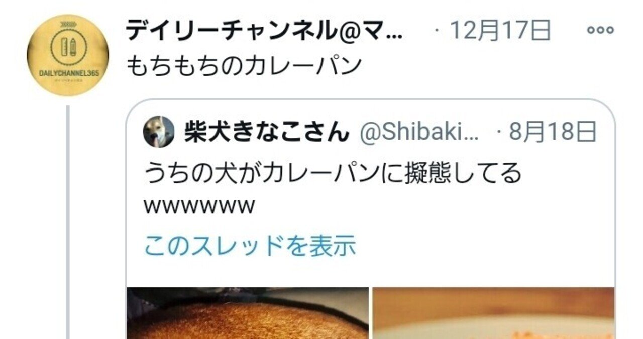 柴犬きなこさんとやり取りさせて頂いた話 デイリーチャンネル編集部 Note