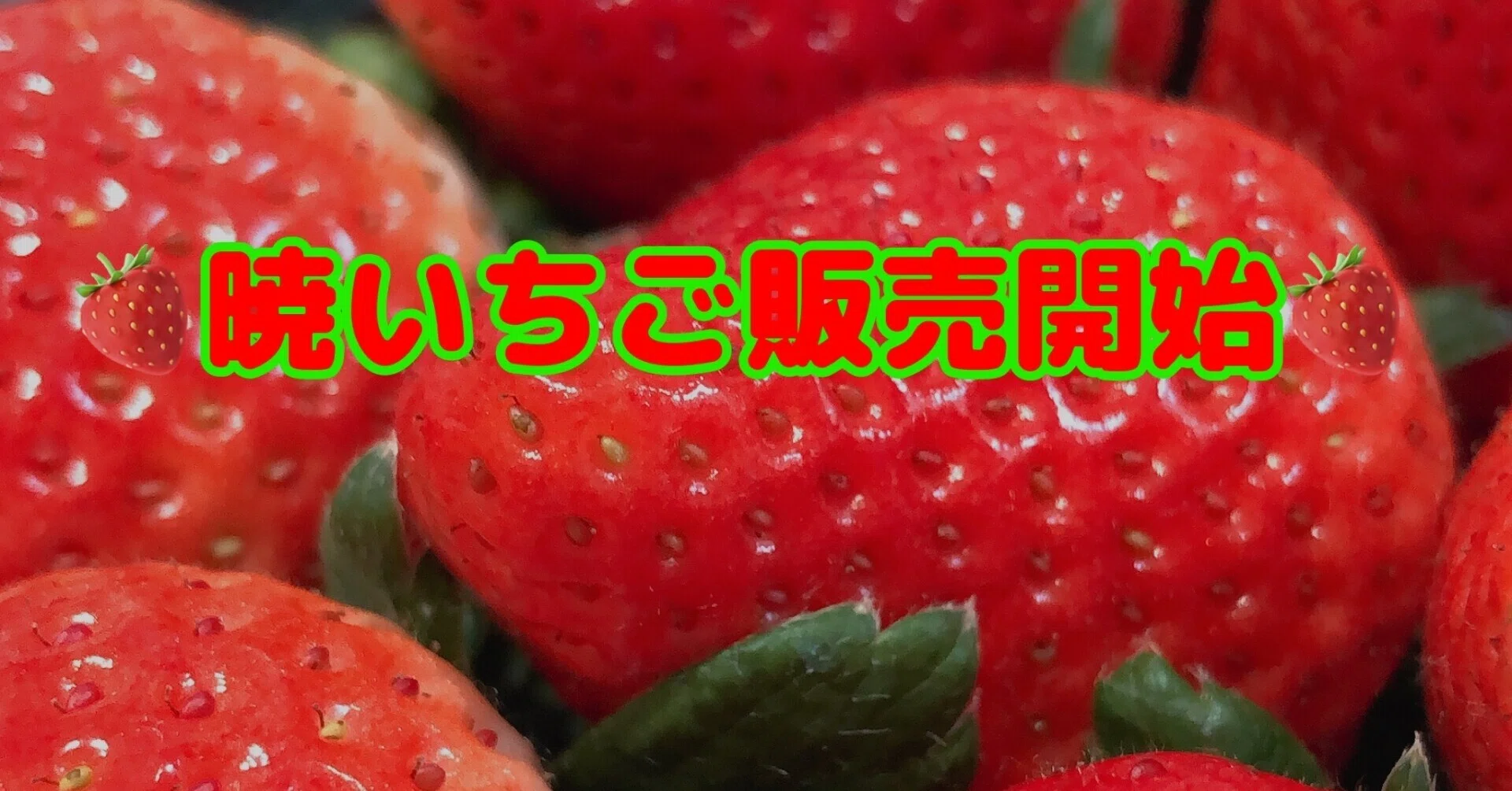 暁いちご農園 『あかつきいちご』ネット販売開始します！！｜アイス