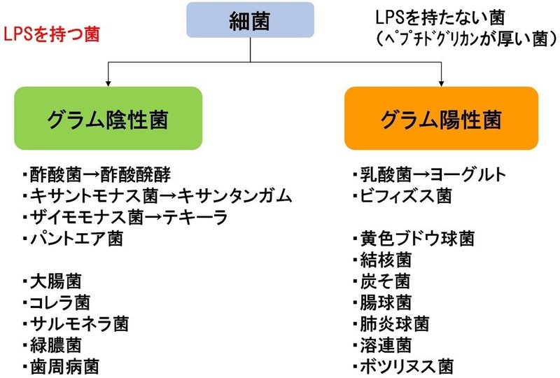 画像49