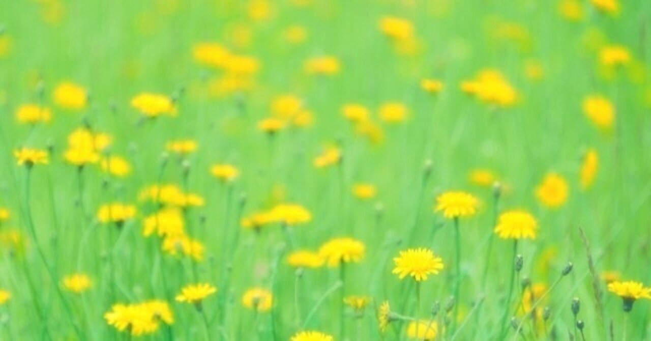 タンポポは賢い 好きな事をしながら生きる 豊かさ千倍時代と半農生活 野菜栽培レッスンプロが綴る Note タンポポは賢い 好きな事をしながら生きる 豊かさ千倍時代と半農生活 野菜栽培レッスンプロが綴る Note