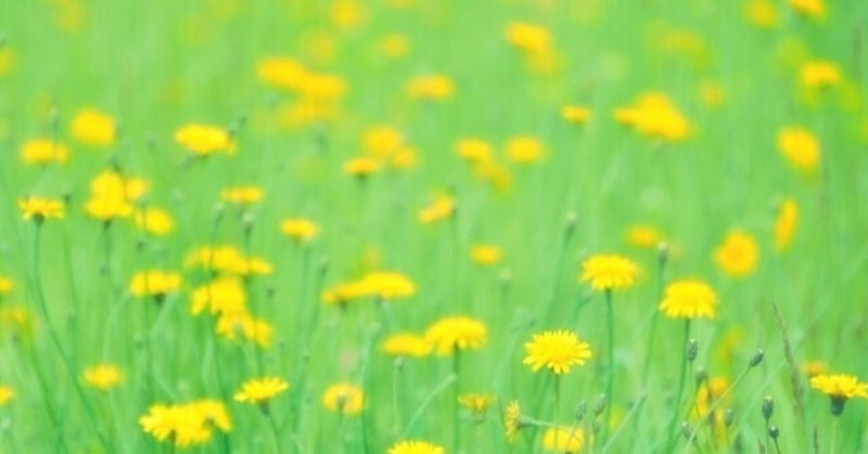 タンポポは賢い 好きな事をしながら生きる 豊かさ千倍時代と半農生活 野菜栽培レッスンプロが綴る Note タンポポは賢い 好きな事をしながら生きる 豊かさ千倍時代と半農生活 野菜栽培レッスンプロが綴る Note