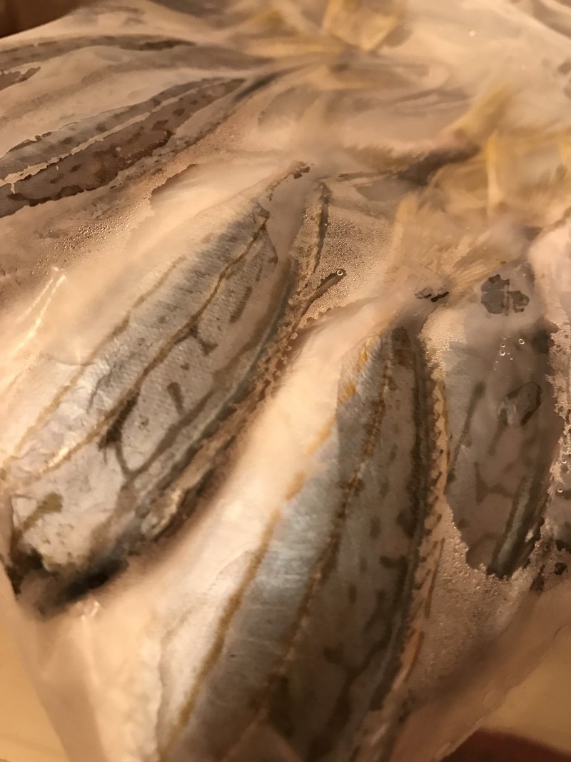 釣りをしていて考えたこと 佐藤秀峰 Note 釣りをしていて考えたこと 佐藤秀峰 Note
