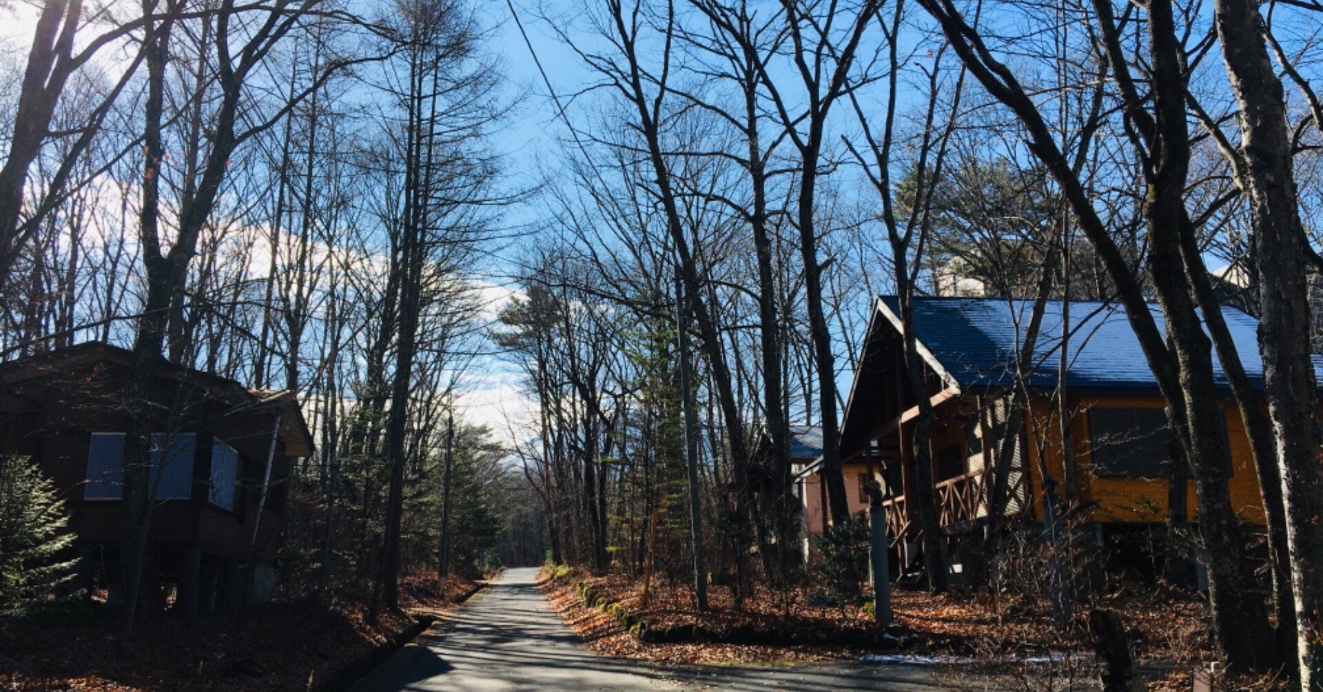 私の物語の主人公は私だったと思い出させてくれる 優里 ドライフラワー 毎日note49日目 ほそかわえみ 元気が出るブログ スタートアップpr広報 Note