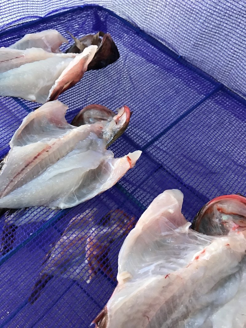 釣りをしていて考えたこと 佐藤秀峰 Note 釣りをしていて考えたこと 佐藤秀峰 Note