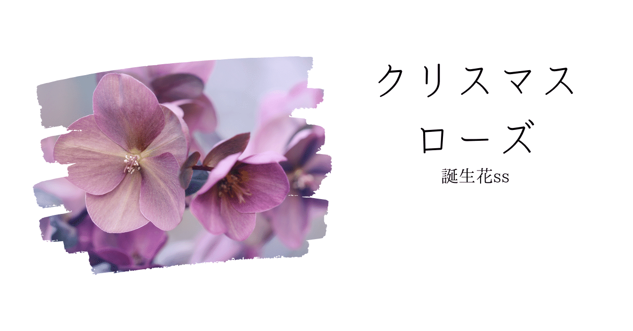クリスマスローズ 誕生花ss てい Note クリスマスローズ 誕生花ss てい Note