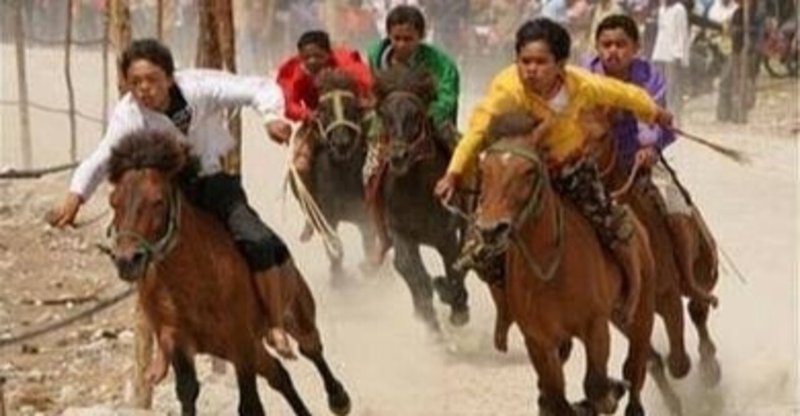 幼卒ジョッキーと平場をしよう12 Daisotujokey Note