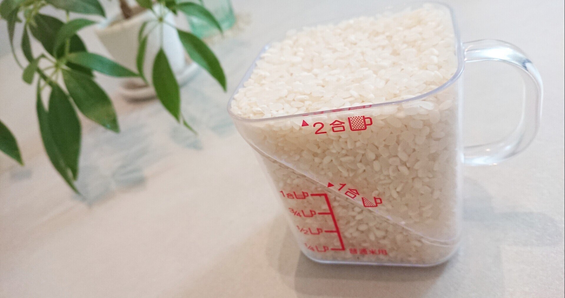 Ldk ご飯を沢山炊くお家必見 今何合 を解決してくれるダイソーの計量カップはいかが ちゃろ Note Ldk ご飯を沢山炊くお家必見 今何合 を解決してくれるダイソーの計量カップはいかが ちゃろ Note