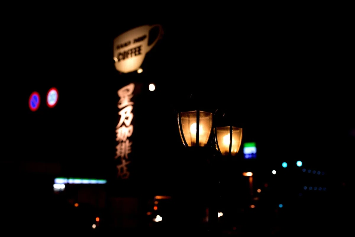画像255